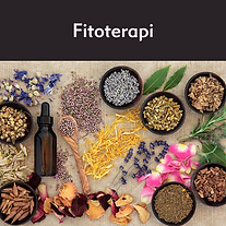 Fitoterapi: Fitoterapi, bitkilerin tıbbi amaçlarla kullanılmasını içeren bir tedavi yöntemidir. Bu alt başlıkta, tıbbi bitkilerin kullanımının ve bitkisel ilaçların sağlık üzerindeki etkilerini açıklayacağız.