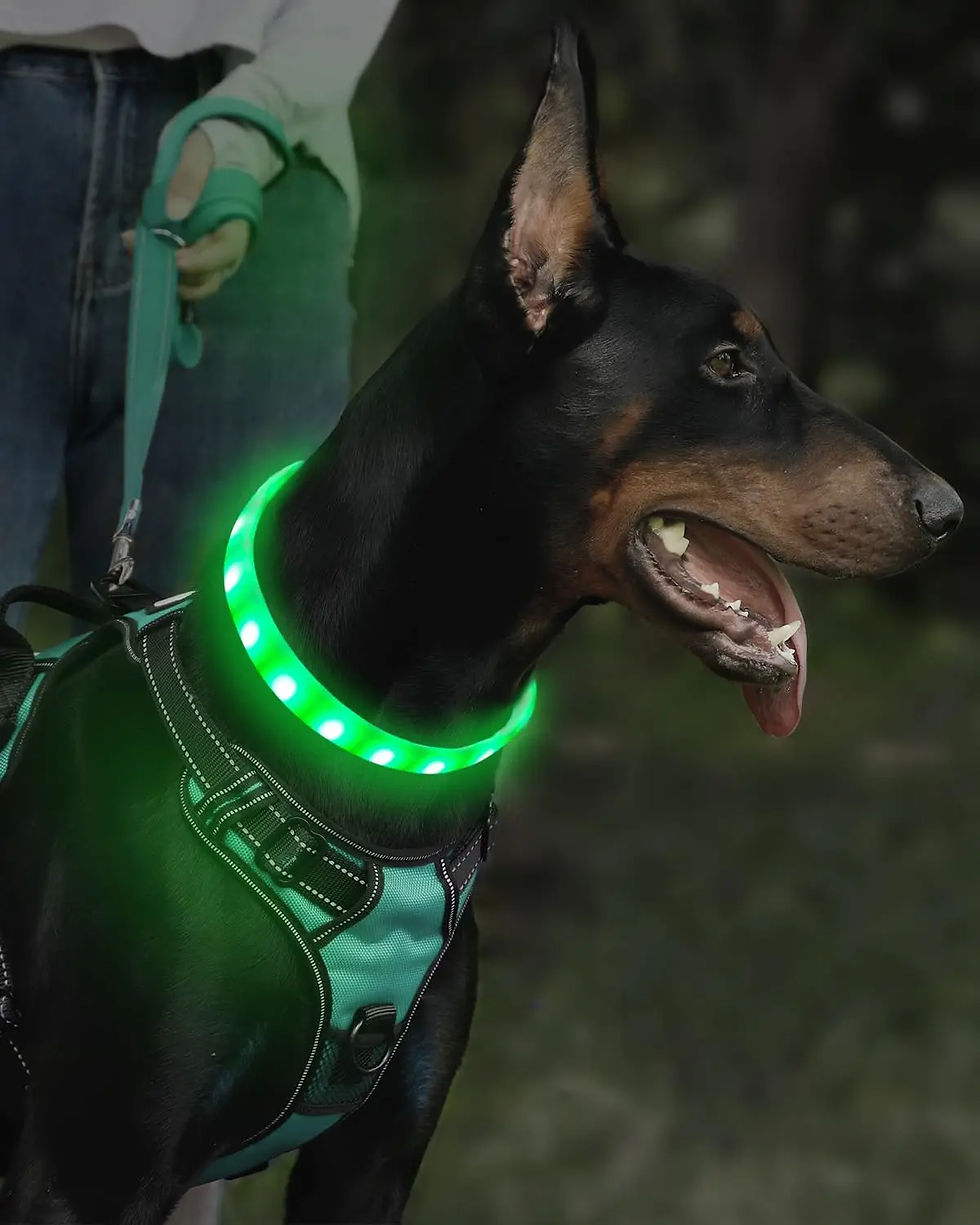 Thumbnail: NeonPaws