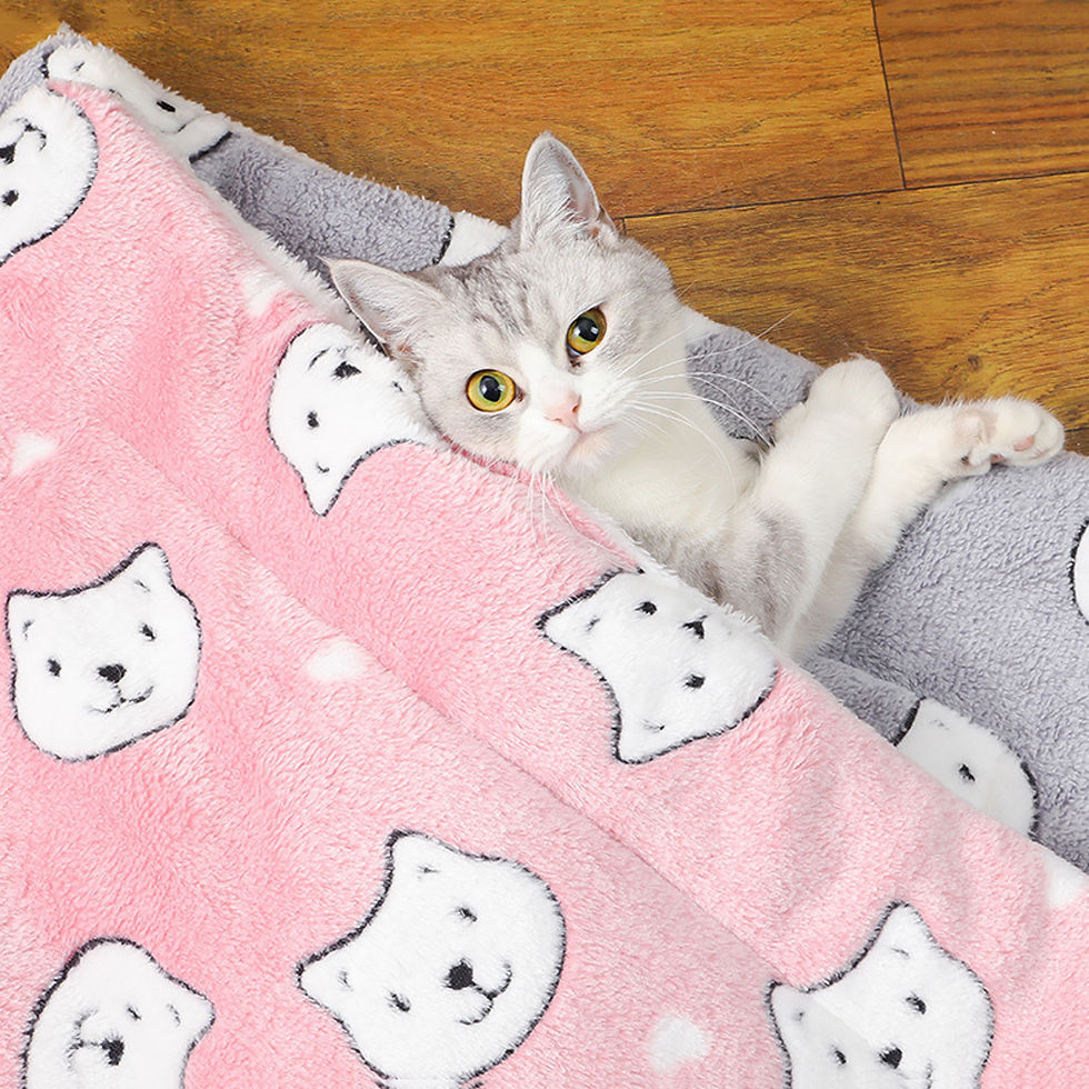 Thumbnail: Cute Small Dog Mat
