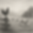 Chicken on fence post and goats running in field through rustic farm fence