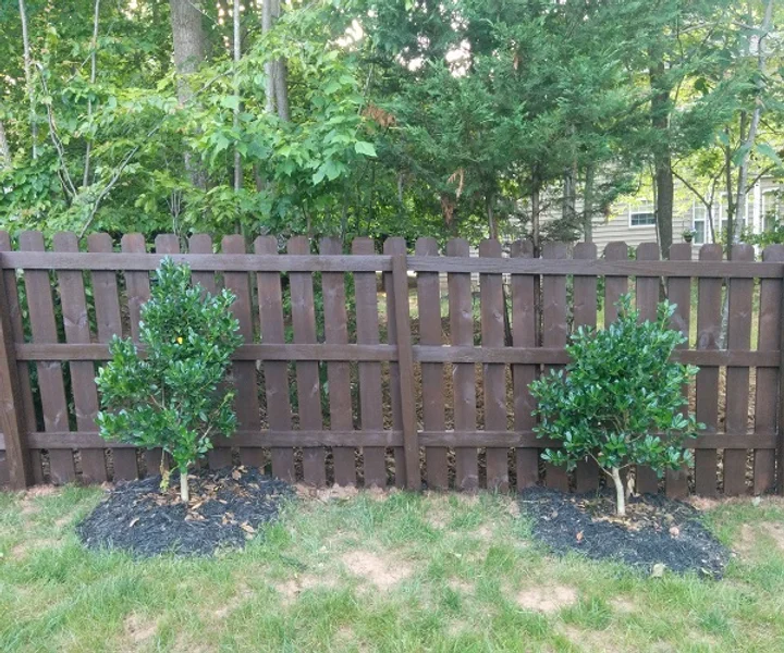 FENCE.webp