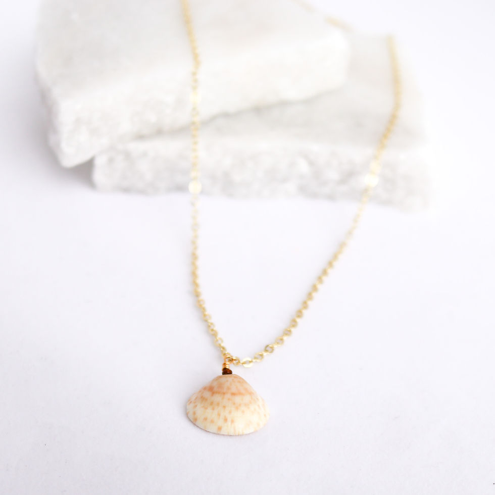 Thumbnail: Clam Shell Necklace