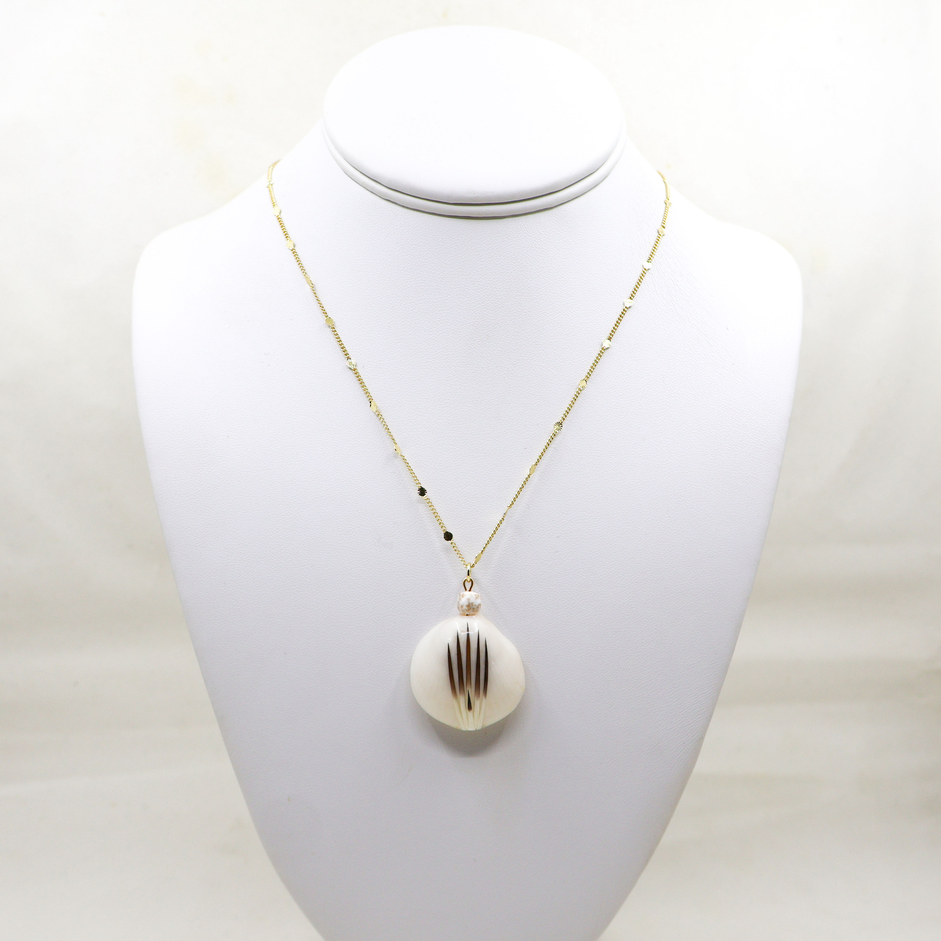 Clam Shell Necklace