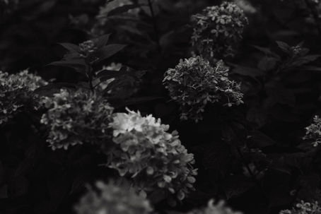 I’m not feeling like me