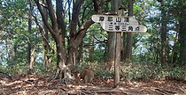 山頂.jpg