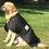 Thumbnail: Canine Winter Blanket