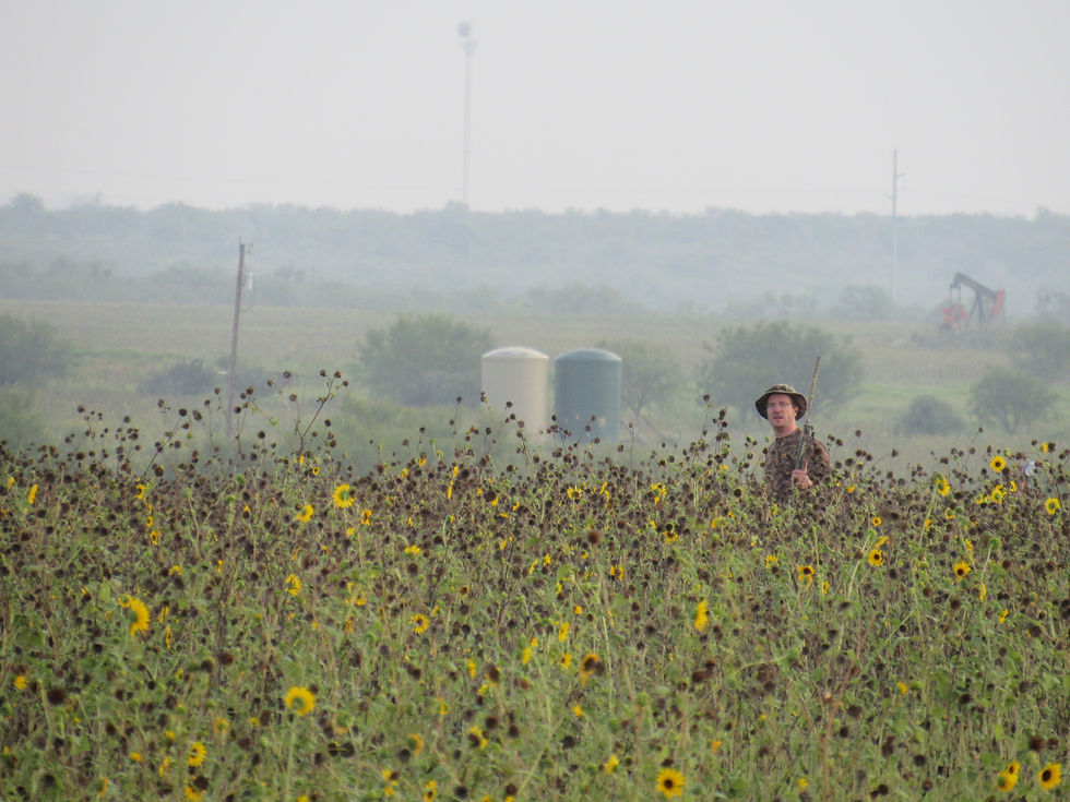 Texas