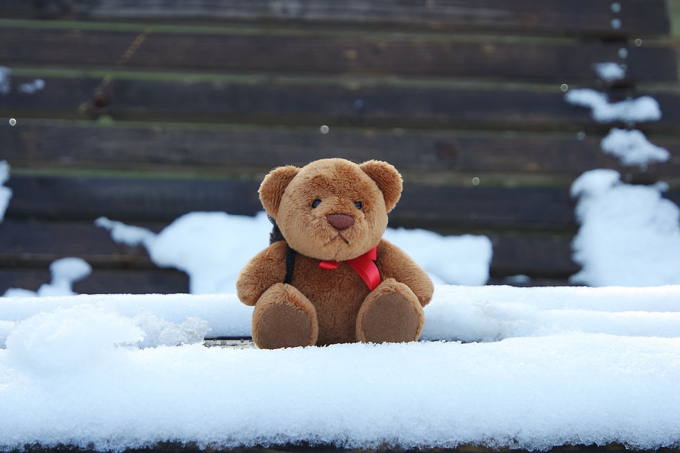 Und hier das Ergebnis des Fotoversuchs... (c) des Bildes by Carola Schierach