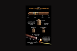 Artboard 1