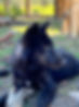 IMG_4695.jpeg