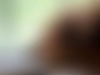 Wash Your Paws: There's a New Dog Disease