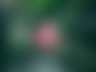 マントラとは何か ― その意味と目的