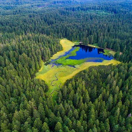 Crno-jezero-Mariborsko-Pohorje pohodništvo