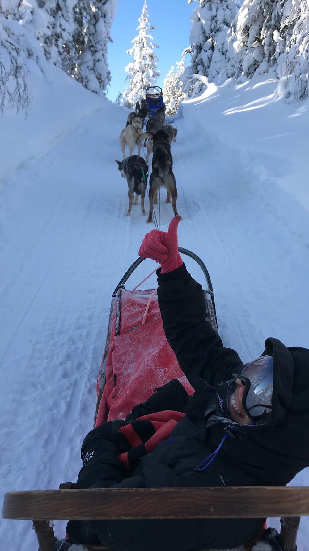 Hey I'm Silvie | Lifestyle Blog. Lapland