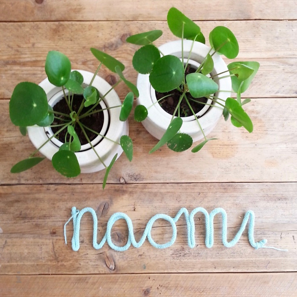 Hey. I'm Silvie | Lifestyle Blog. DIY kraamgeschenk