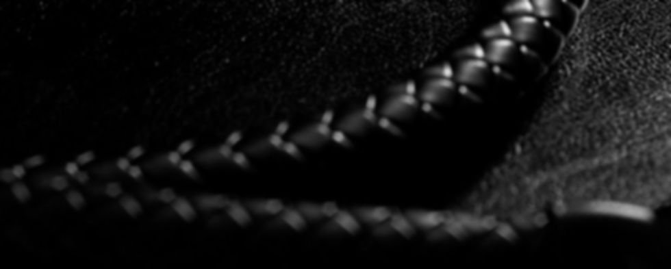 whip001.jpg
