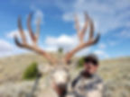 muledeer_photo_thumbnail