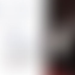 The Mosquers Film Festival