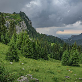 Romania (57 of 237).jpg