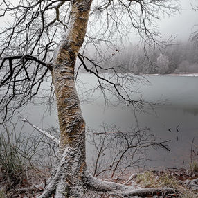 Landscape, Romania, winter, snow, winter forest, Lake St. Anne, travel photos