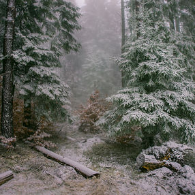 Landscape, Romania, winter, snow, winter forest, Lake St. Anne, travel photos