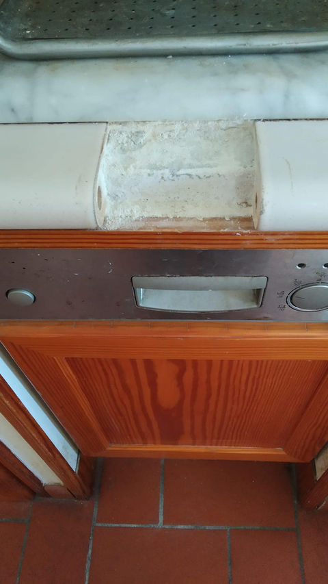 Toro_bianco Rosato_1.jpg