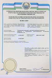 свидетельство.jpg