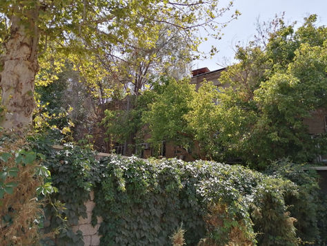 Gradually turning into a business complex