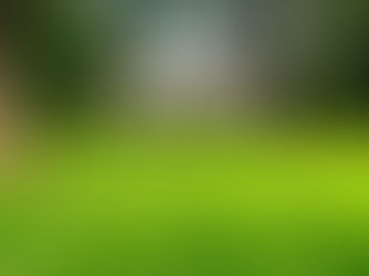 The Ultimate Guide to Fertilizing Lawns in Texas for Lush Green Grass