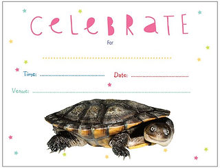 reptile birthday party invite, Sea snake, damage mitigation permit training, venom, Australian flora & fauna, Australian photographer, venomous snake, Scott Eipper, Tyese Eipper, Tie Eipper, Australian author, Nature 4 You, wildlife demonstrator, reptile shows, herpetology, frogs of Australia, snakes of Australia, A guide to Australian snakes in captivity elapids & colubrids, dangerous creatures of Australia, lizards of Australia, snake book, lizard book, frog book, field guide, snake catcher, snake, python, elapid, colubrid, blindsnake, turtle, goanna, monitor lizard, skink, pygopod, legless lizard, gecko, dragon, lizard, herpetologist, snake training, reptile cards, conservation, reptile, amphibian, frog, reptile stickers, reptile breeder Queensland, crocodile, reptile birthday party, reptile book, reptile tote bags, reptile fridge magnet, snake shows, frog fridge magnet, wildlife photography, reptile signs, reptile gift tags, reptile posters, hots, wildlife carer