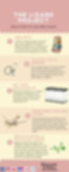 Infographic on Bearded Dragon care