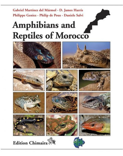 Amphibians and Reptiles of Morocco | natureforyou
