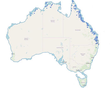 Coastal Taipan, Oxyuranus scutelllatus distribution map, Sea snake, damage mitigation permit training, venom, Australian flora & fauna, Australian photographer, venomous snake, Scott Eipper, Tyese Eipper, Tie Eipper, Australian author, Nature 4 You, wildlife demonstrator, reptile shows, herpetology, frogs of Australia, snakes of Australia, A guide to Australian snakes in captivity elapids & colubrids, dangerous creatures of Australia, lizards of Australia, snake book, lizard book, frog book, field guide, snake catcher, snake, python, elapid, colubrid, blindsnake, turtle, goanna, monitor lizard, skink, pygopod, legless lizard, gecko, dragon, lizard, herpetologist, snake training, reptile cards, conservation, reptile, amphibian, frog, reptile stickers, reptile breeder Queensland, crocodile, reptile birthday party, reptile book, reptile tote bags, reptile fridge magnet, snake shows, frog fridge magnet, wildlife photography, reptile signs, reptile gift tags, reptile posters, hots, wild