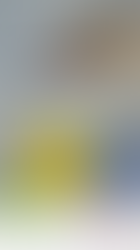 Descubra o universo de produtos da ISA BRASIL! ✨