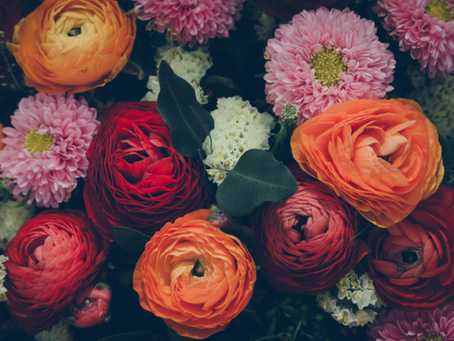 Update form James & Claire