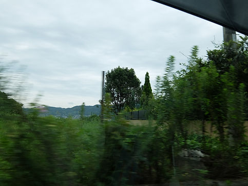 DSCF6744.jpg