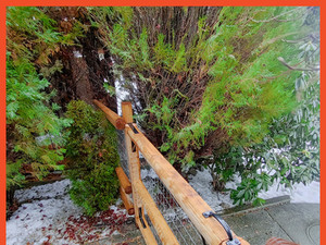 Ranch And Orchard Fence