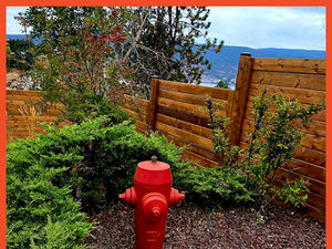 Modern Wood Privacy Fence