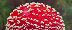 amanita