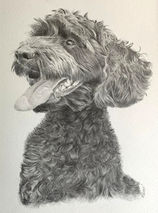 WhatsApp Image 2023-08-01 at 13.22.43 (8).jpeg