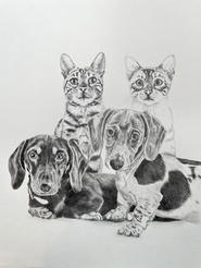 dogs and cats.jpeg