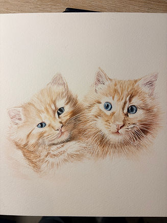 Finished watercolour portrait of two ginger kittens