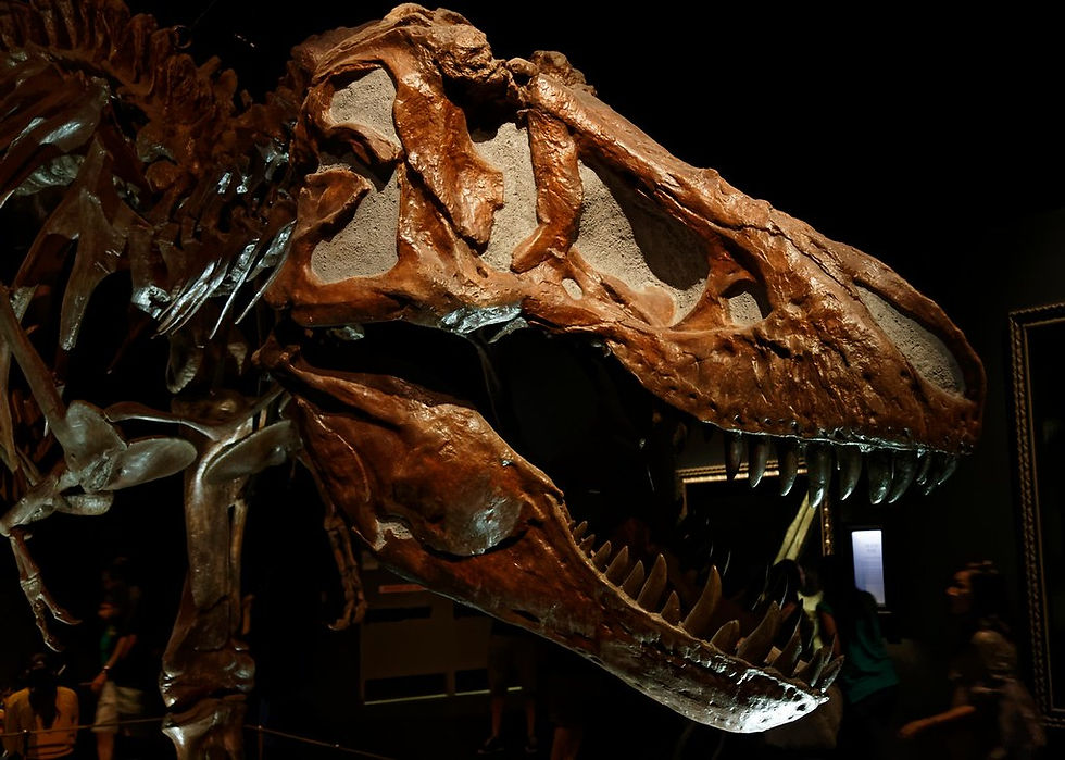 tyrellsecondtrex2