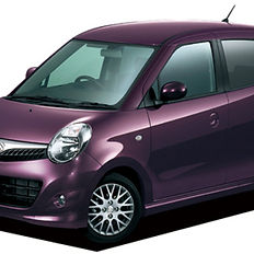 Rental services car rental vehicle company van camping surfing