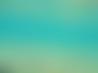 Snorkeling okinawa onna son ! free dive & stand up paddle day 8000 yen per person !