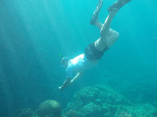 SNORKELING IN OKINAWA ONNA SON MAEDA . TOUR GIUDE AND WATERFALL ADVENTURE TO THE RAIN FOREST
