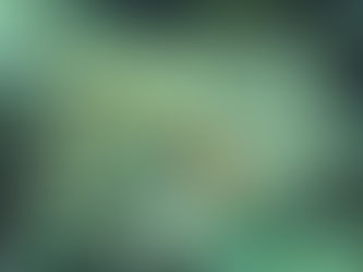 snorkeling tour in blu cave onna son okinawa . book you holiday at tropical surf house watersport ad