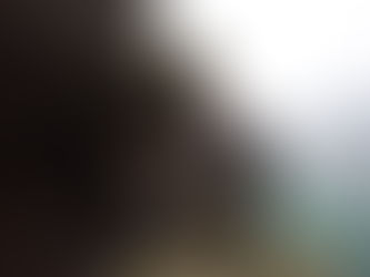 snorkeling best experience in okinawa . stay next to the beach good food good atmosfere and all wate