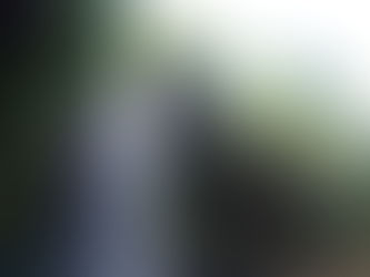 Summer powered up by tropical surf house We doin greatly activity and we reaching out to pull some