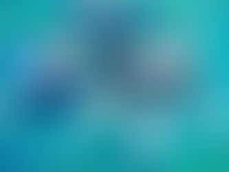 Some good snorkel whit tropical surf